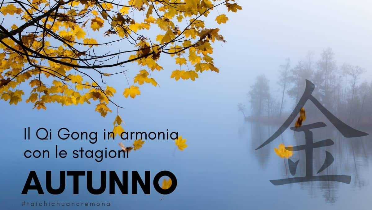 qi gong in armonia con le stagioni come un albero che perde le foglie in autunno